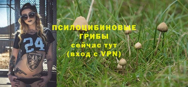 марки lsd Алексеевка