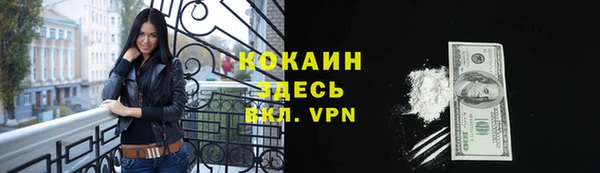 индика Абаза