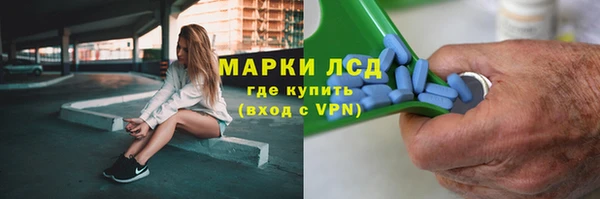 индика Абаза