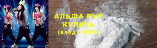 индика Абаза