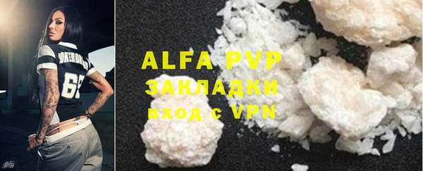 индика Абаза