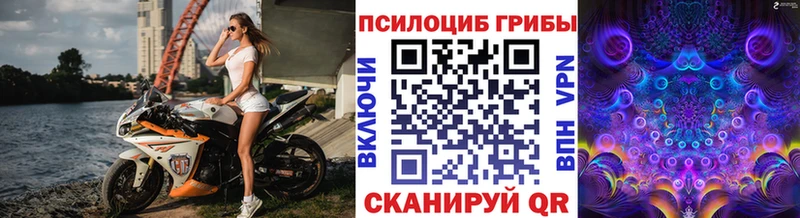 Галлюциногенные грибы Psilocybe  Ханты-Мансийск 